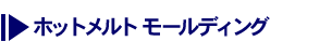 ホットメルトモールティング